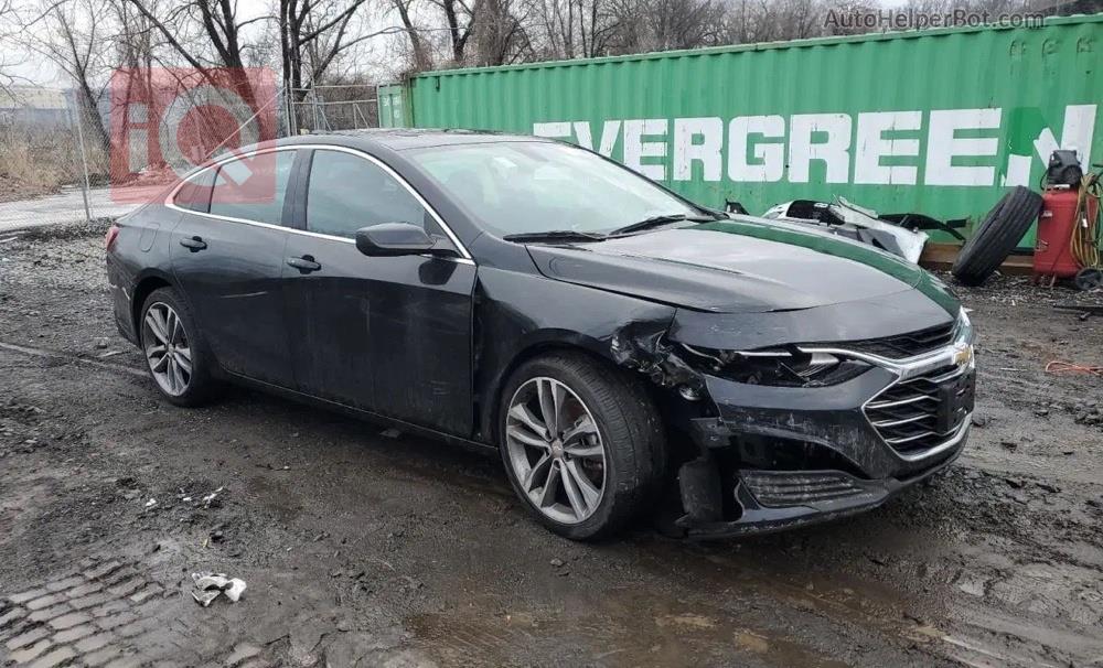 شيفروليه ماليبو